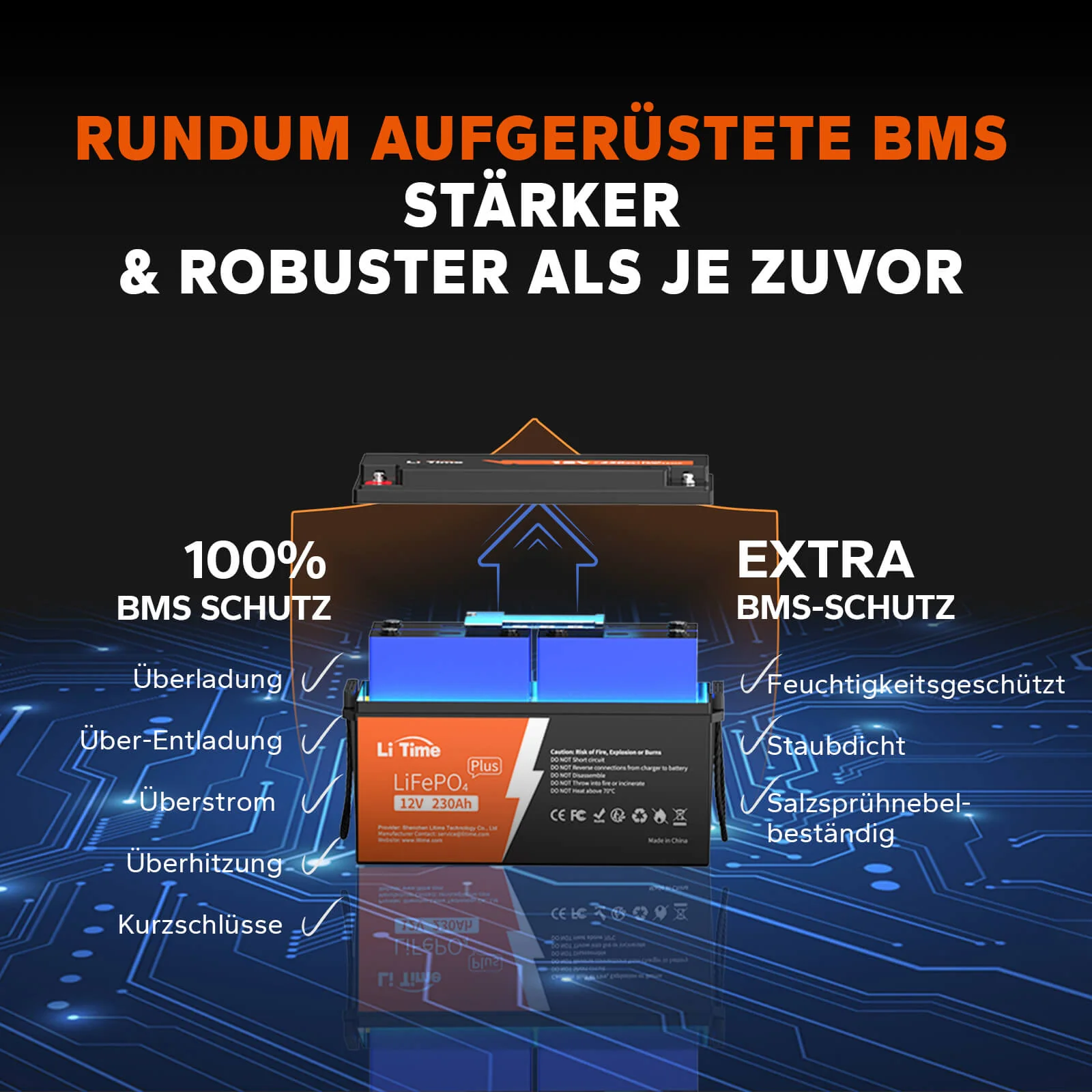 LiTime LiFePO4 12V 230Ah Plus Low-Temp-Schutz Deep Cycle Batterie - 200A BMS - Image 3
